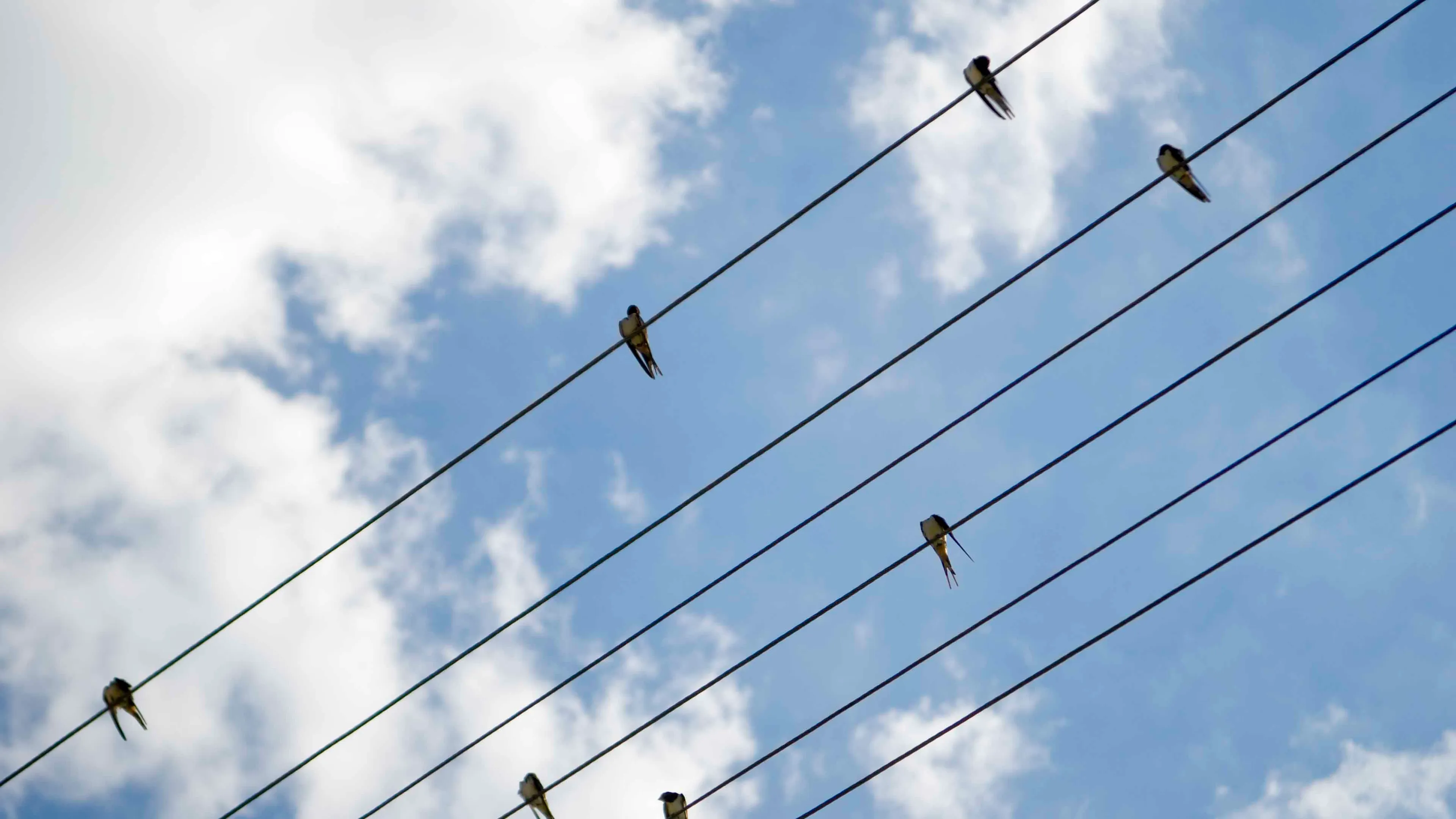 h7y959r15pl9gx3ajcxhha0i8 spanningskabels