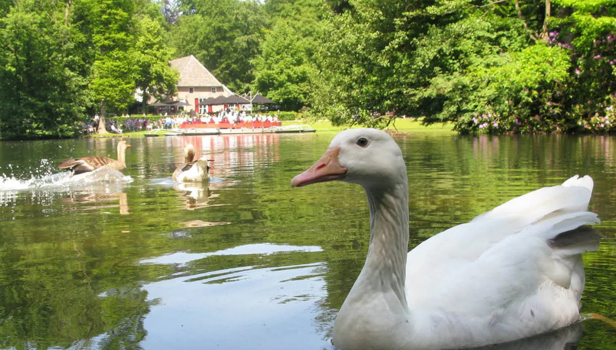 hbhqxmc5cwel5kvo0ufr34l6h vlot10eend