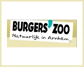 hc1c8cnkswrxb0wfsvi671uj8 177500