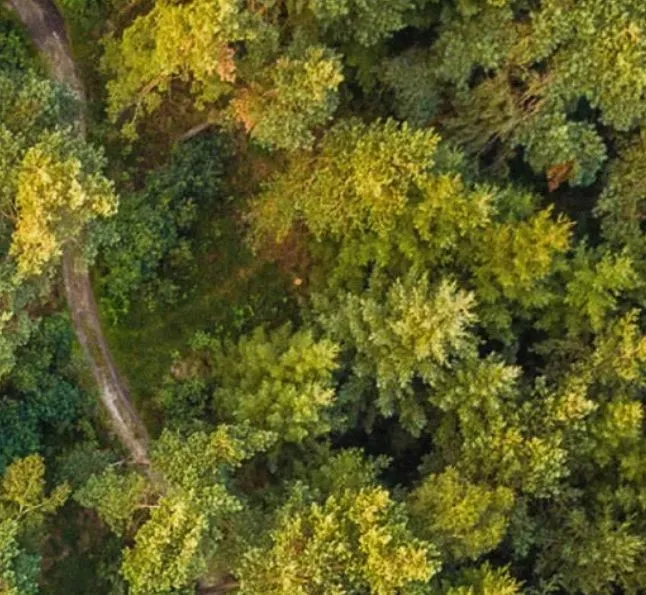 heidepol de week van de wandeling natuurbegraven nederland