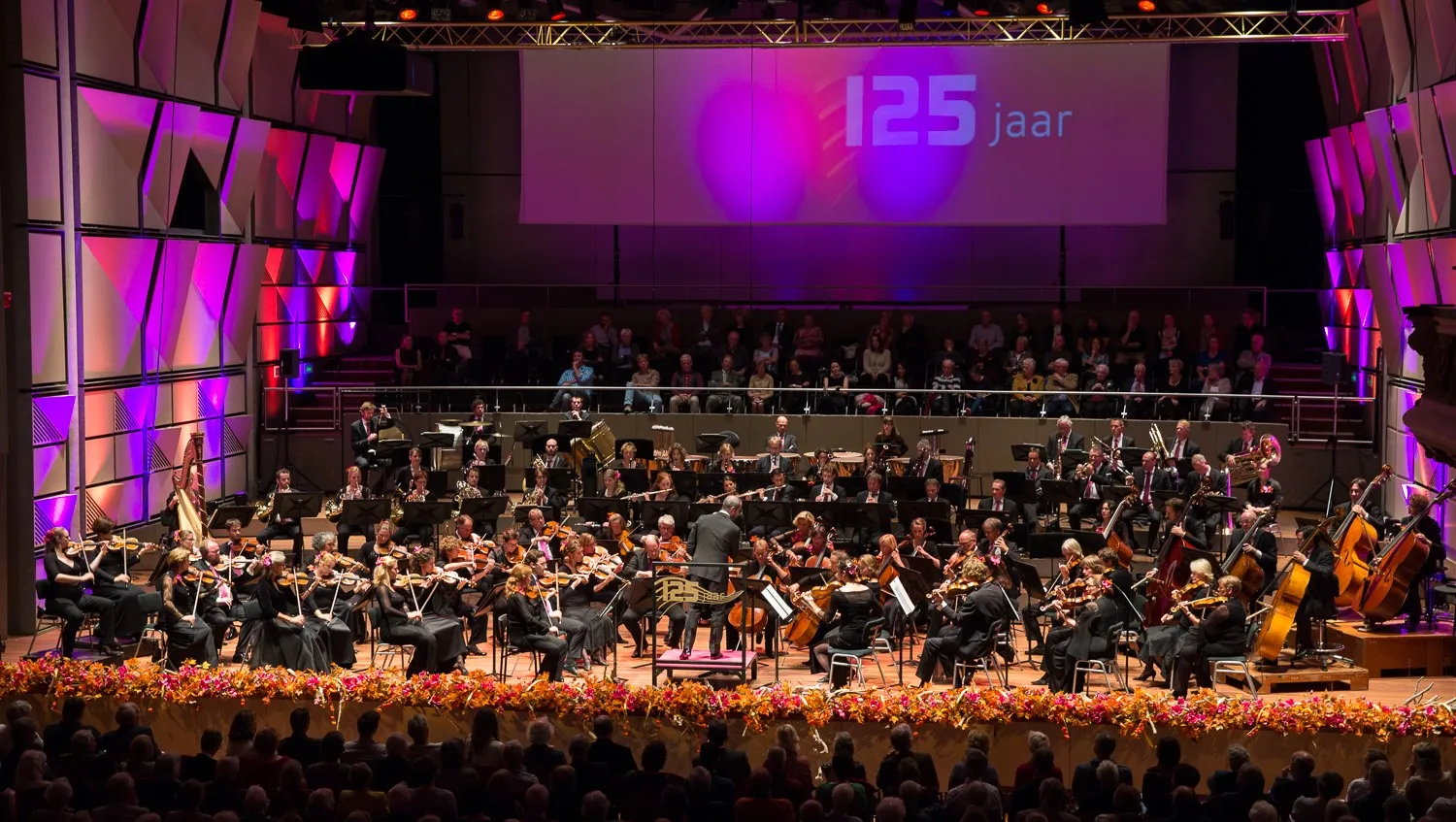 het gelders orkest rknoop