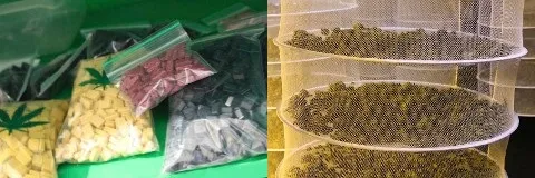 in4wt6w1st6a6b8fgo9pbkt1q 02 aangetroffen drugs arnhem 26092014