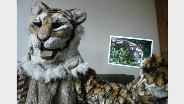 k1og6a2aiv74evekc3b4mj39h tijgeractie 2