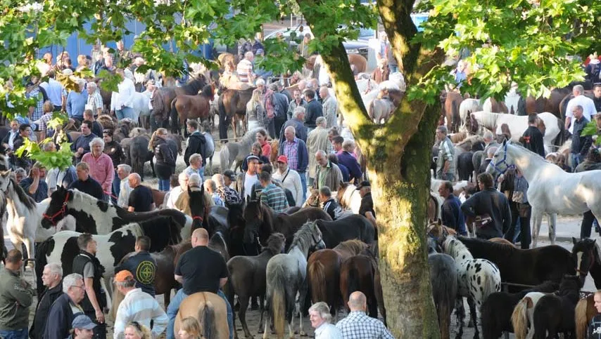 k7g2vedgmv5dz66sk1863n6j3 dsc3634kopie