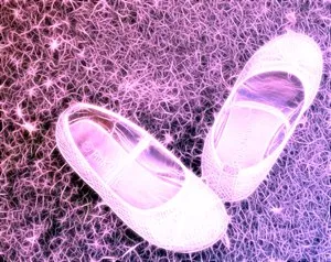 kk85t6f8o82a3la67bnz1v6io 91534