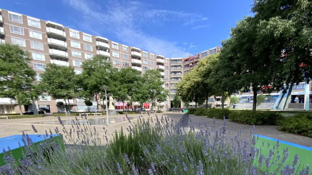 kronenburggem arnheminput