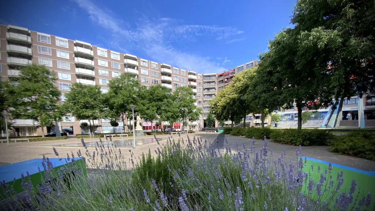 kronenburgvernieuwtgemeentearnhem