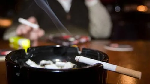 lxecagy8djw3ke9fi3wjejn7p asbak roken cafe novum freek van den bergh hq