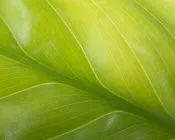 m91fwkqzg0ktjve2f19c3zr3w 108873