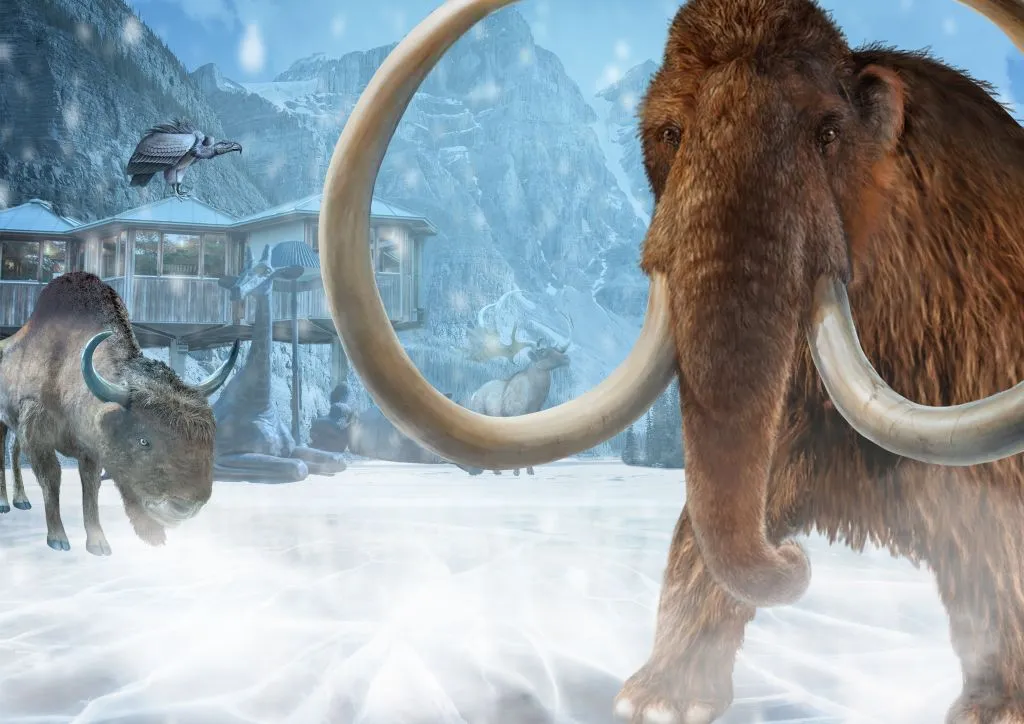 mammoetillustratie ijstijd zoo