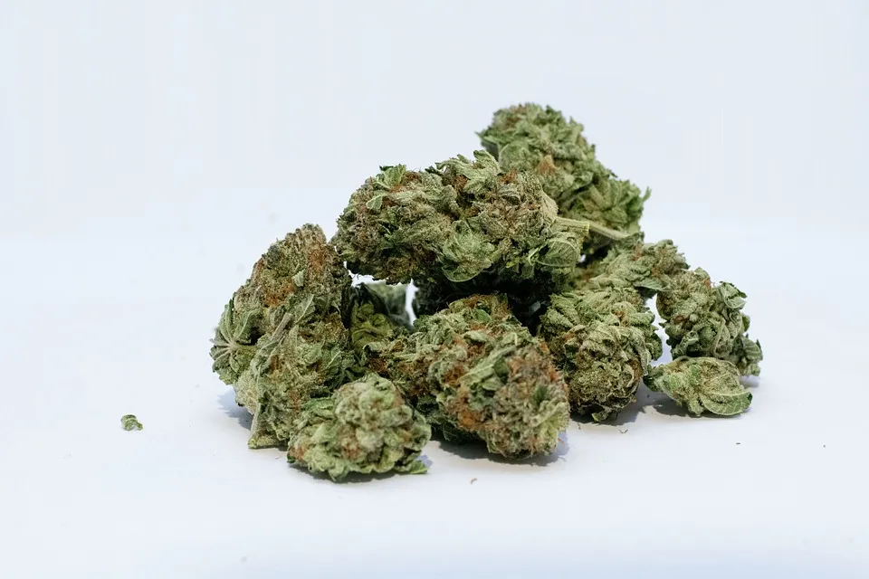 marijuana pixabay