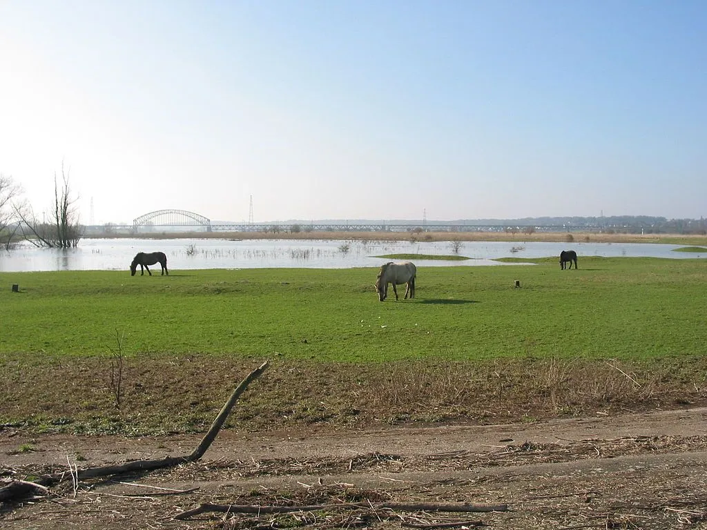 meinerswijk3trilo wikipedia1024px