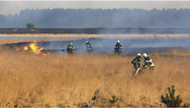 mhaqptxixy0slv8d1f8h6myjx hqheidebrandanp