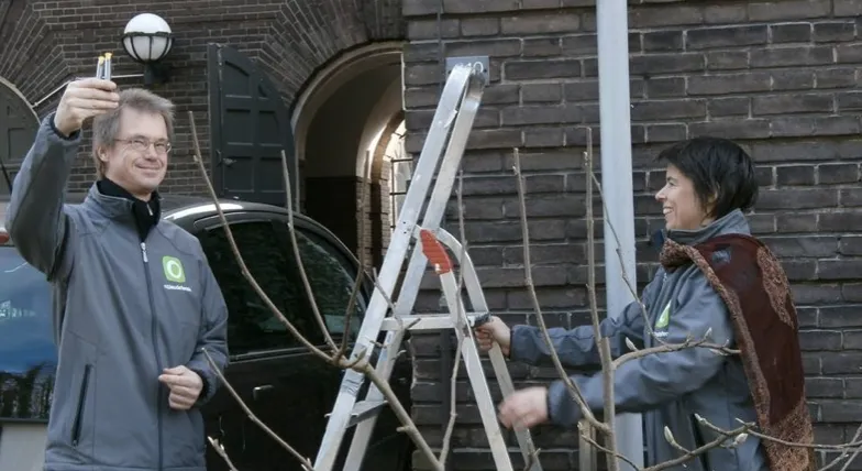 milieudefensie arnhem