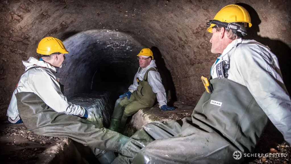 moerriool dec 2017 1008scherpgesteld