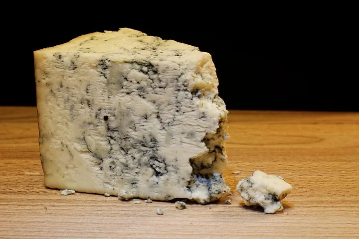 mold cheese 933309 480