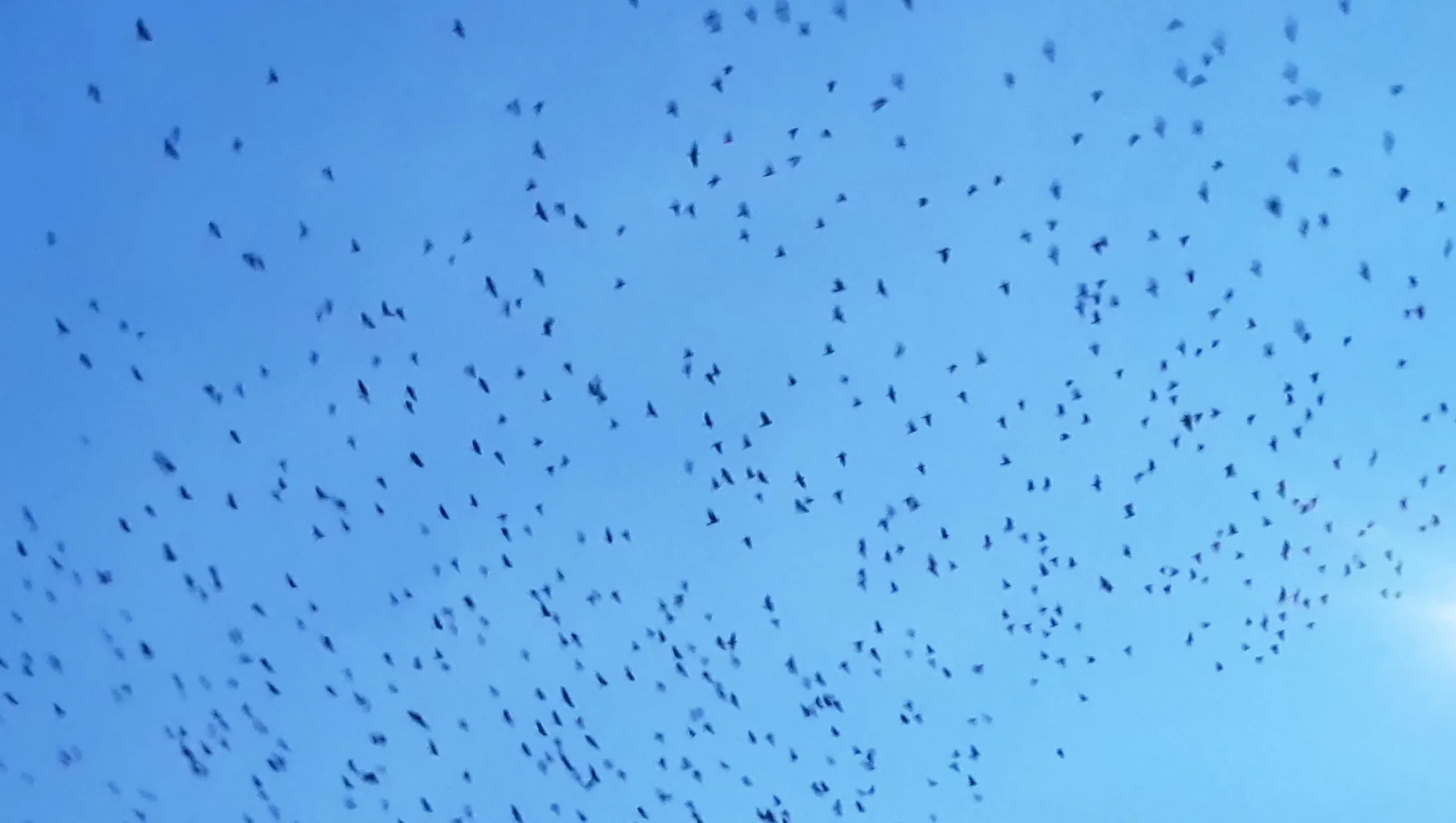 n1jpowrs0c0i2k6e3yqhn4ouf spreeuwenarnhem nieuws