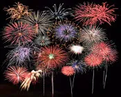 n49ks9gxzk4lww7siwfewnkni 198755