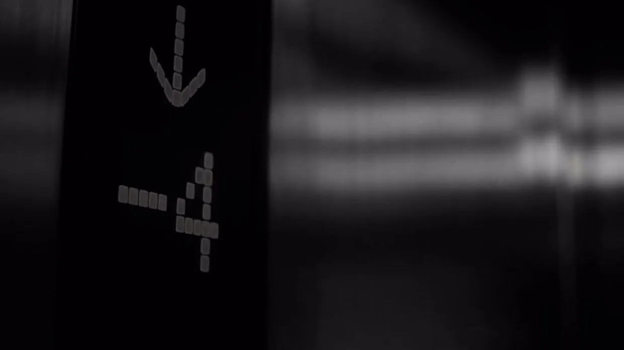 n4od7i7f1wjtxtgmreaypoudi methamorphosa