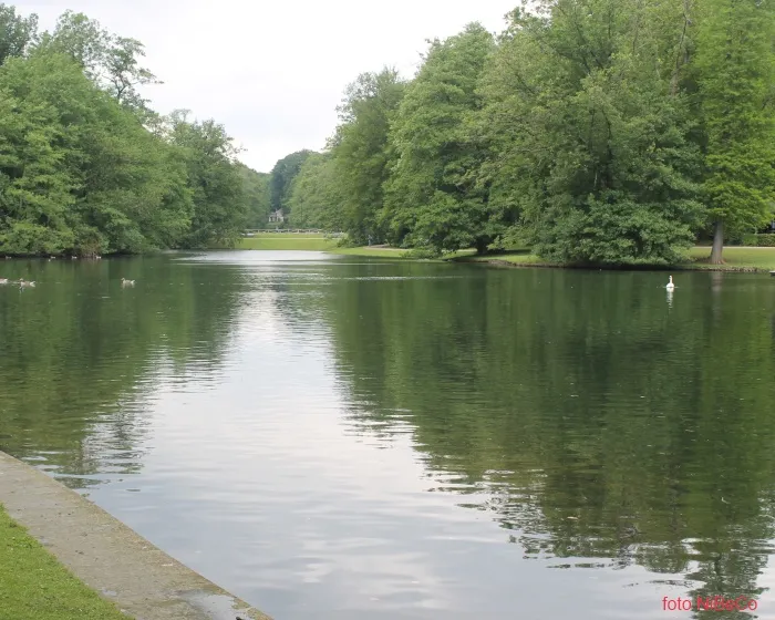 n5ace9fd58p2lj5pljyko4fl4 166249