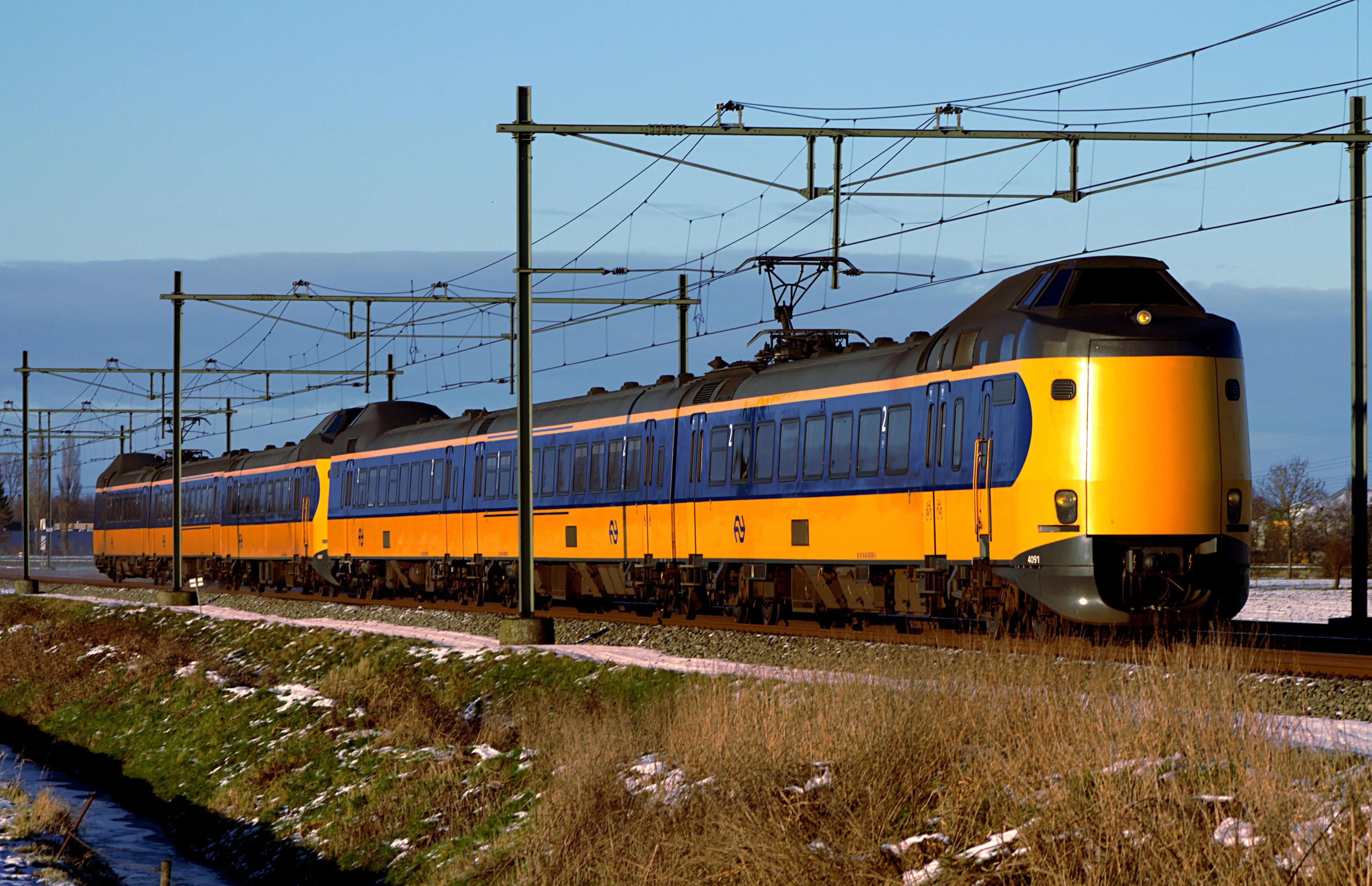 nsmons wikimediaorg koplopers 40914057 haren