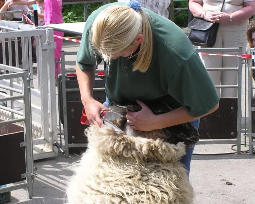 okmgx354tyja6mxxoanq76wjy 145195