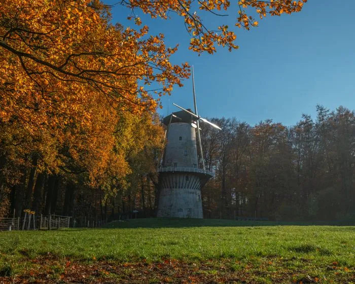 olmherfst