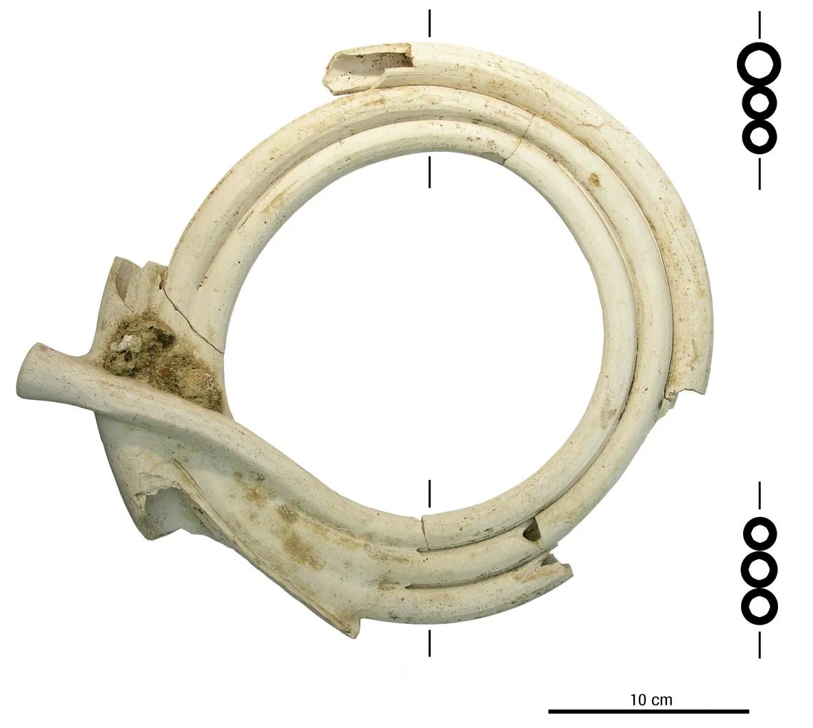 pelgrimshoornvondstvdmnd