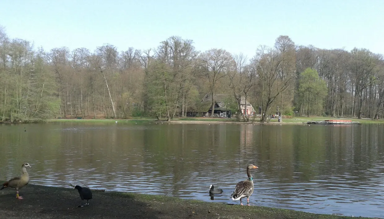 pfwoh4kei4l4zob984spvsh5e grote vijver 11 mei