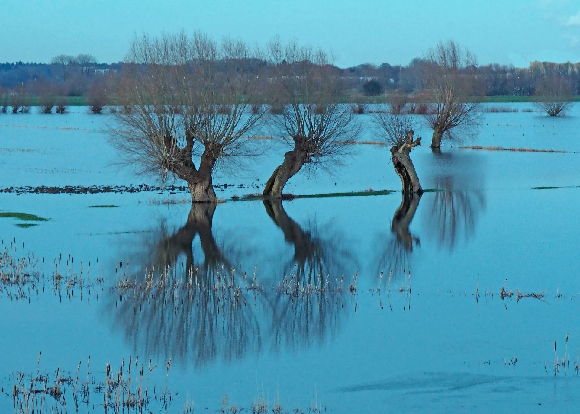 polderpixabay5368854 1920