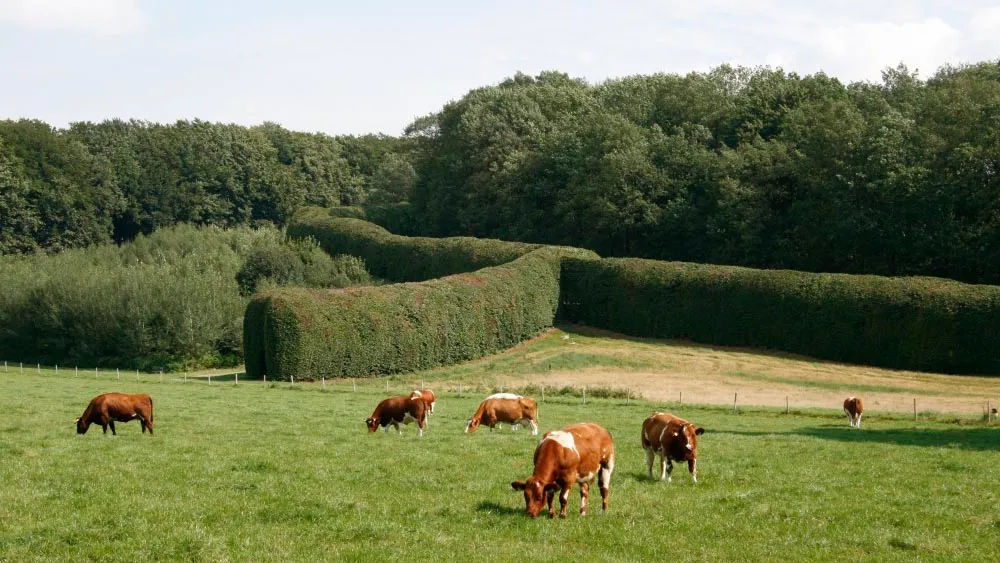 q3dozq7koedmj6ujauww5sm3r mariendaal groene20bedstee