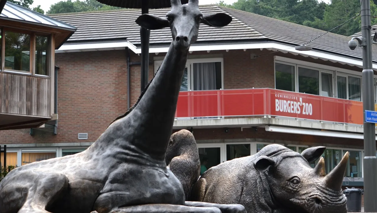 qutvzfec3q0231by921pz4jbz burgerszooarnhemnieuwssvenhans20140813 6