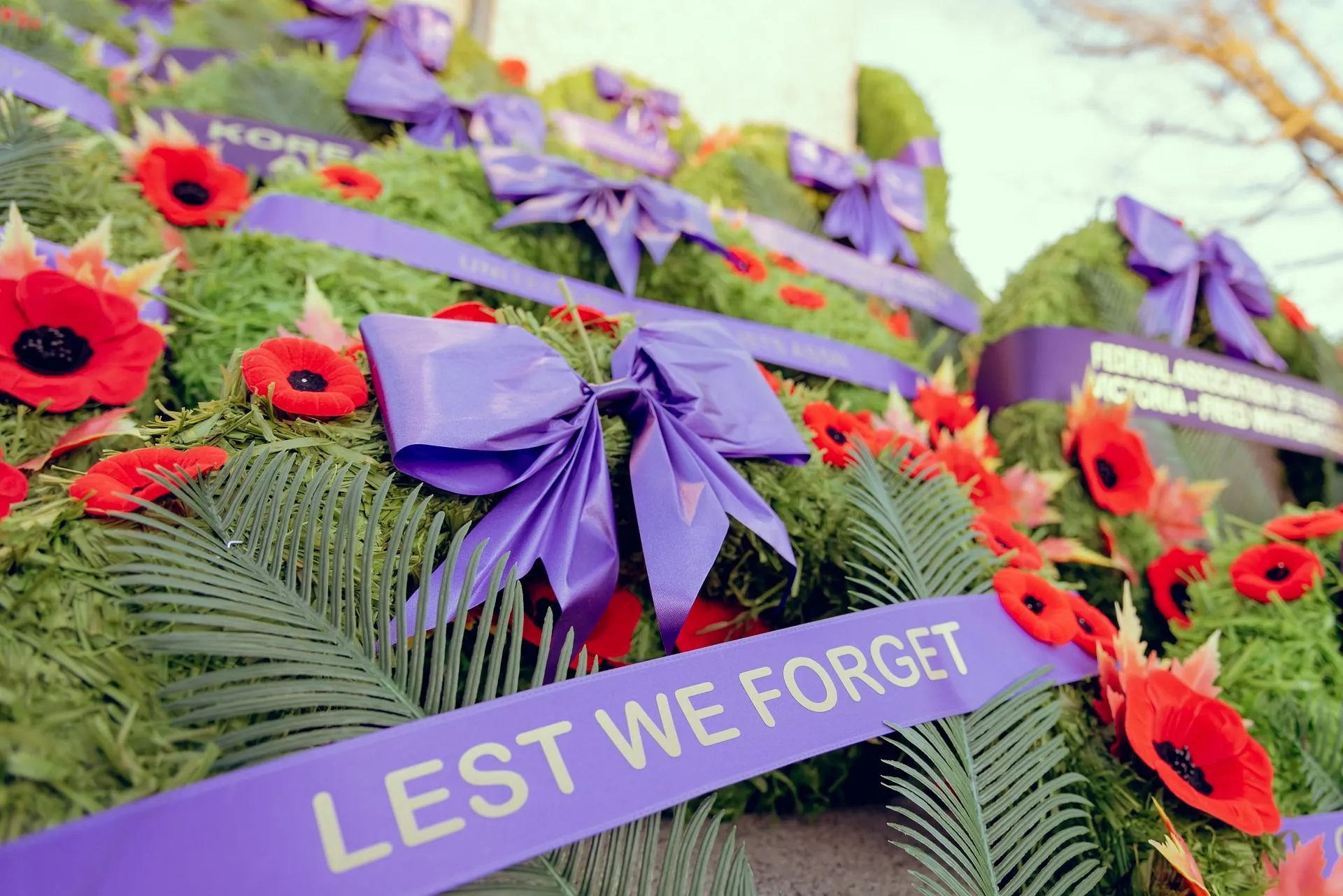 remembrance day 2pixabay 1920