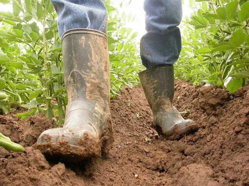 robinfoodcoalitiebiodiversitiet72