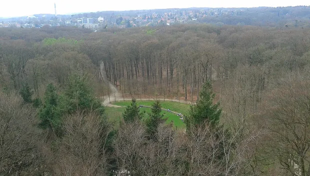 rziew8dxl8ym5a8rfurmpkbhv arnhemrondeweidearnhemnieuws