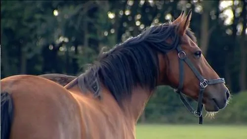 t1gc2k2z9p9m1jyifb6y72o3a niet gebruiken