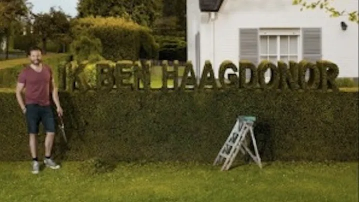 taxus haagdonor 298x234