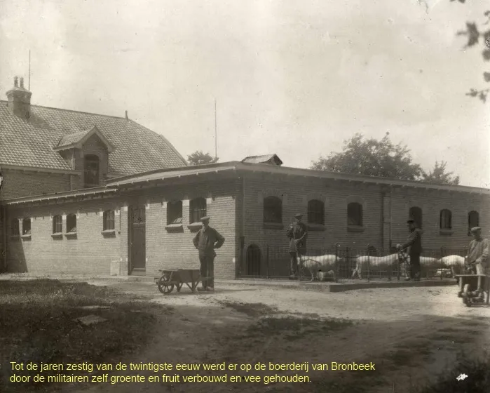 tkklihjs6wszaqj9i3z03t1b1 186302