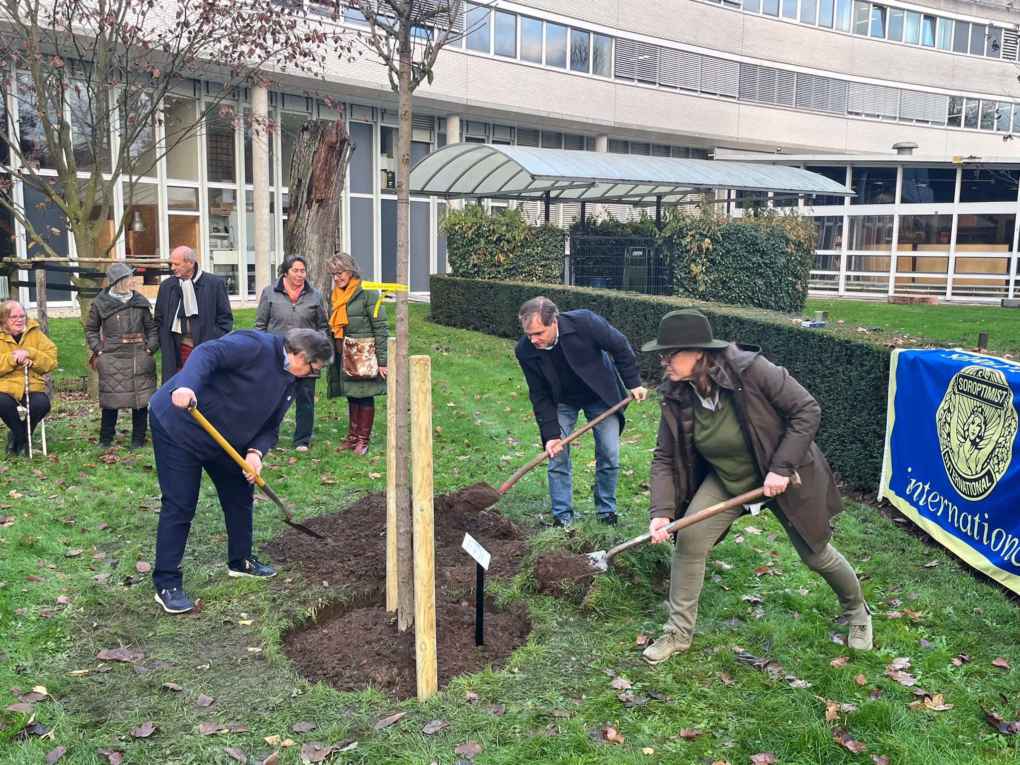 trees4lifeclub arnhem oost ginkgo 2