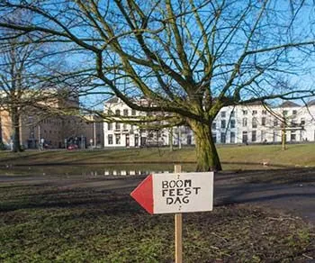 unnamedbomen