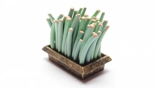 upy4mlko5h88aek748gxnhg1a confrontationsmuseum arnhemlin po tzu