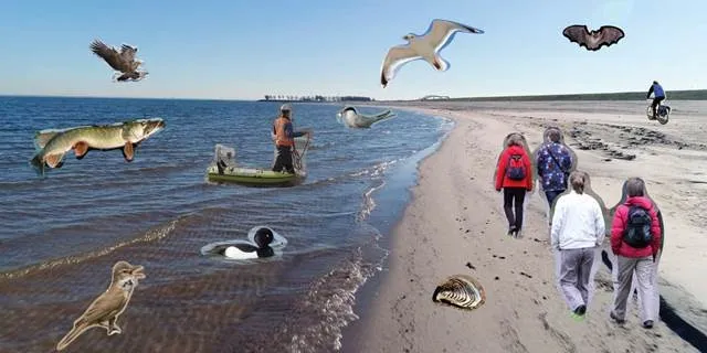 vernieuwdehoutribdijkzuiderzeemuseumdesktopgeneratedtcm21217684
