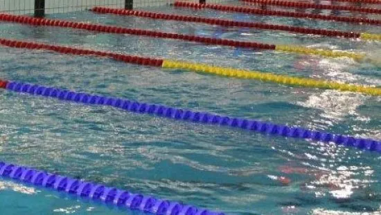 vfwh8mi4en1210y9gfifloaha zwembad