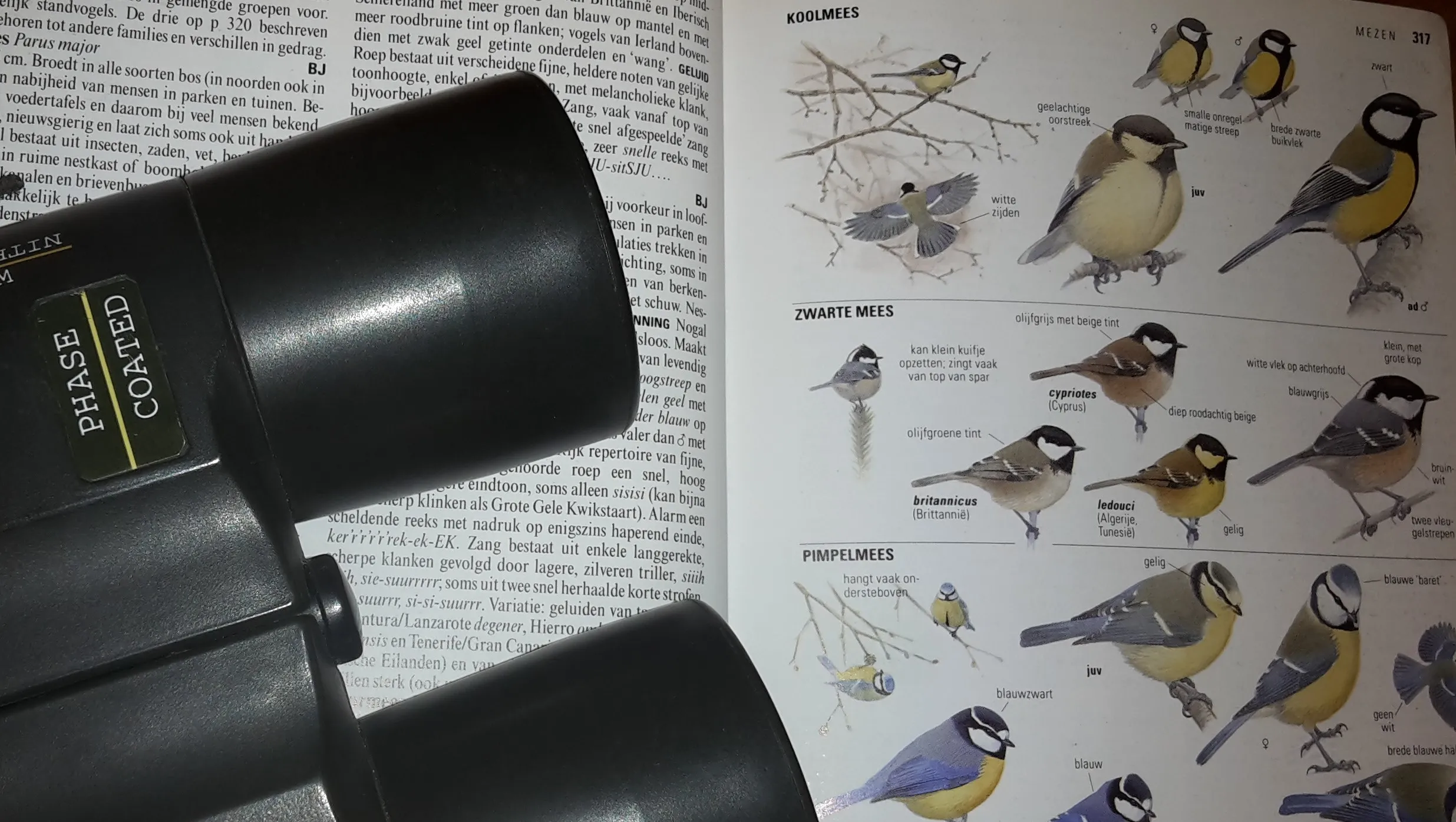 vogels kijken arnhem nieuws