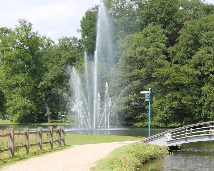 vs248ldj6ggrh97chz7ksrbtp 156542