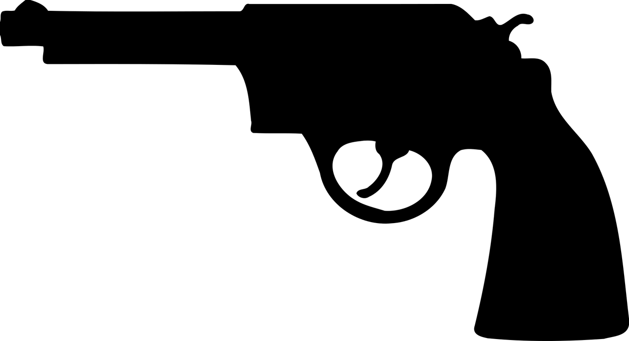vuurwapenbezitfirearm 2027656 1280