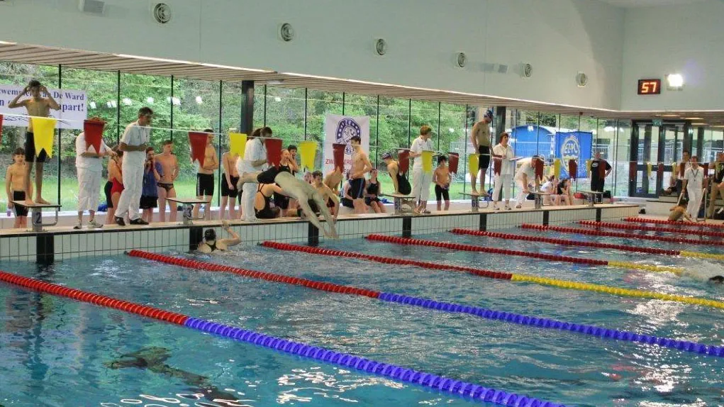 w0gmkzho8rrlzbahfkv73l0wf img0466