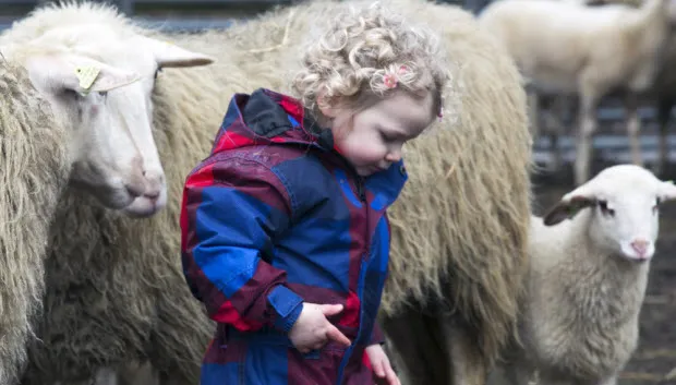 w9qfuc9llj9sd2ee4osqkmans lammetjesdag lief meisje tonrot 2013