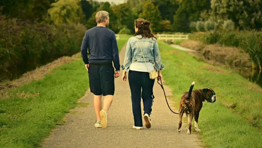 wandelen mabelamber via pixabay 915x518 1