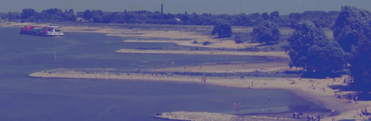 waterstanden rijn riwa